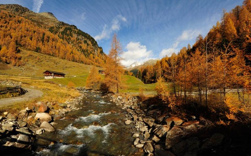 Bild mit herstlichen Bäumen beim Wandern in der Umgebung des Alpinhotels Jesacherhof