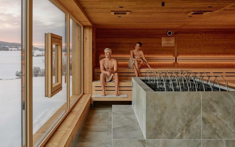 Sauna mit Blick ins Mühlviertel