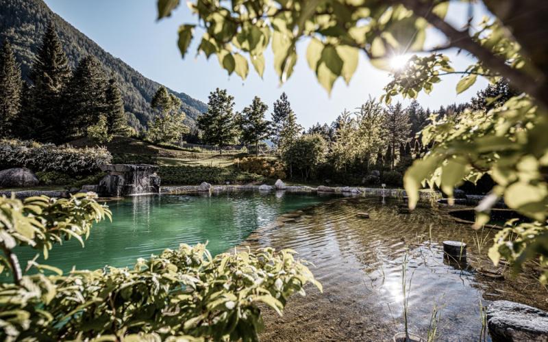 Schwimmteich vor dem Hotel BLEIB BERG