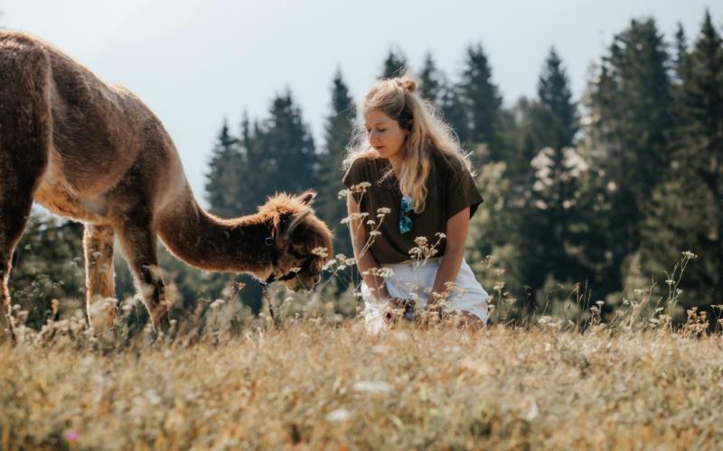 Ein Alpaka und eine Frau auf der Wiese in der Nähe des Naturhotels Landhof Irschen
