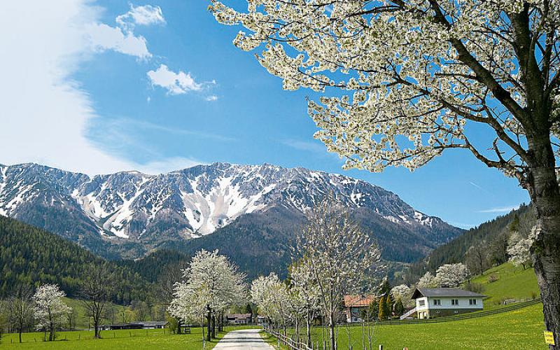 Ausblick in die Berge vom Hotel Schneeberghof
