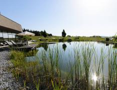 Schwimmteich mit Schilf im Hotel AVIVA