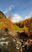 Bild mit herstlichen Bäumen beim Wandern in der Umgebung des Alpinhotels Jesacherhof